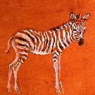 Thumb Junges Zebra